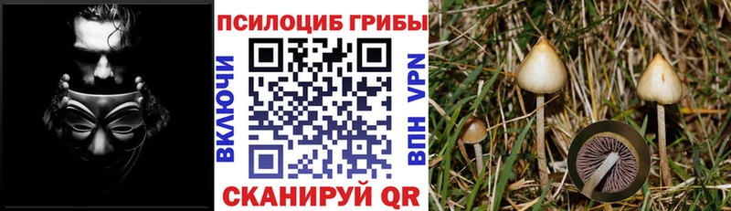 как найти закладки  Крым  Галлюциногенные грибы мухоморы 